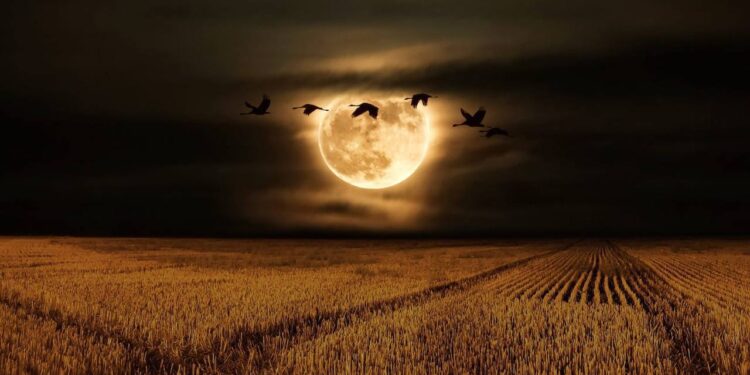 Найбільший супермісяць 2024 року осяє небо сьогодні, чим він особливий