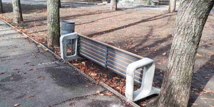 Чергові випадки вандалізму у парках та скверах Миколаєва – вкрали ялівці, перевернули лавку (ФОТО)