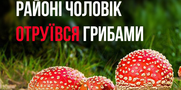 На Миколаївщині чоловік після вживання зібраних грибів потрапив до лікарні