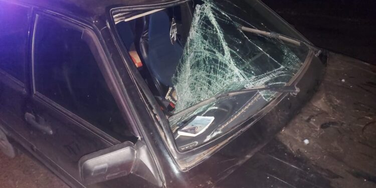 Внаслідок ДТП на Миколаївщині загинула 87-річна пішохідка (ФОТО)