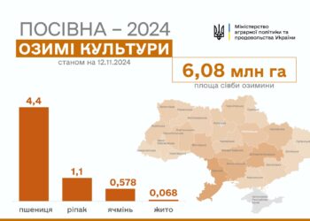 Українські аграрії вже засіяли 96% озимих культур від прогнозованих площ. Миколаївщина – в трійці лідерів