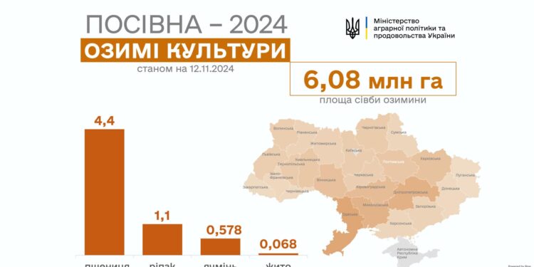 Українські аграрії вже засіяли 96% озимих культур від прогнозованих площ. Миколаївщина – в трійці лідерів