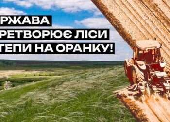 На Миколаївщині та Одещині на земельні аукціони виставили не ріллю, а природні степи та ліси – Українська природоохоронна група