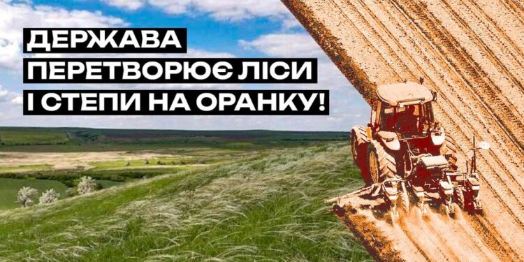 На Миколаївщині та Одещині на земельні аукціони виставили не ріллю, а природні степи та ліси – Українська природоохоронна група