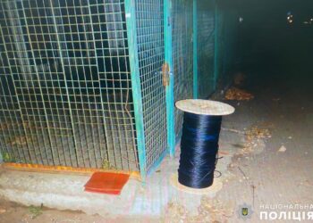 У Миколаєві серед білого дня двоє чоловіків викрали кабель компанії ТБ-провайдера – їх вже затримано (ФОТО)
