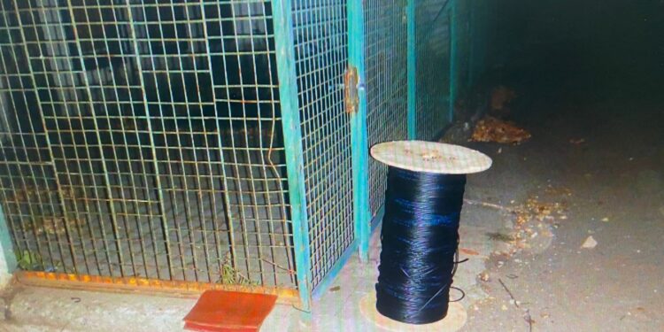 У Миколаєві серед білого дня двоє чоловіків викрали кабель компанії ТБ-провайдера – їх вже затримано (ФОТО)