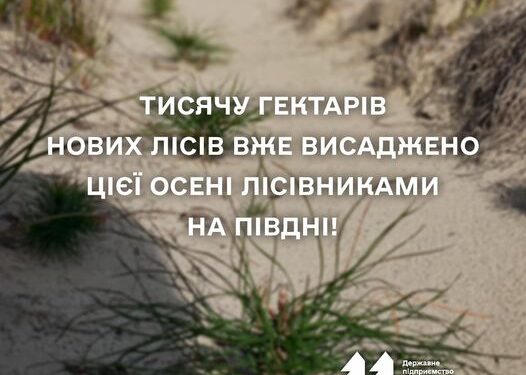 Тисячу гектарів нових лісів вже висаджено цієї осені на Миколаївщині та Одещині