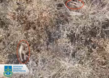 На Покровському напрямку росіяни розстріляли двох українських бійців, перевіряється інформація про розстріл ще трьох наших – Офіс Генпрокурора