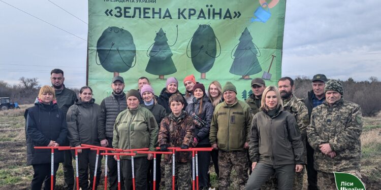 На честь загиблих захисників – на Миколаївщині лісівники з військовими висадили новий лісовий масив (ФОТО)