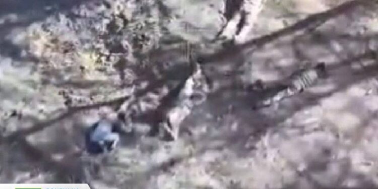 Поблизу Вугледара окупанти розстріляли п’ятьох полонених бійців ЗСУ – Офіс Генпрокурора (ФОТО)