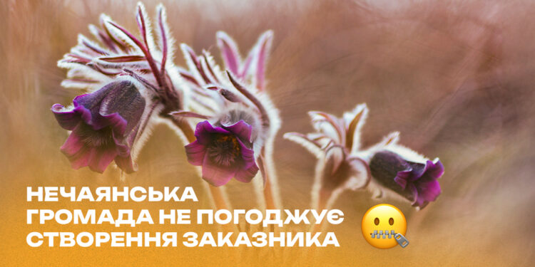 Нечаянська громада на Миколаївщині не погоджує створення заказника – мовляв, заважатиме випасу худоби