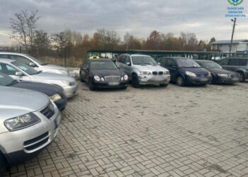 На Львівщині викрили схему незаконного ввезення автівок під виглядом допомоги ЗСУ (ФОТО)