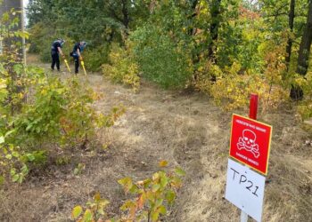 На території парку «Дубки» у Миколаєві знайдено 17 вибухових предметів після російських обстрілів – розмінування триває