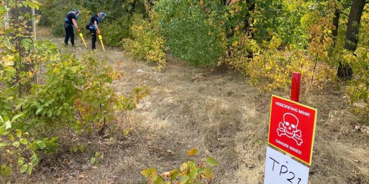 На території парку «Дубки» у Миколаєві знайдено 17 вибухових предметів після російських обстрілів – розмінування триває