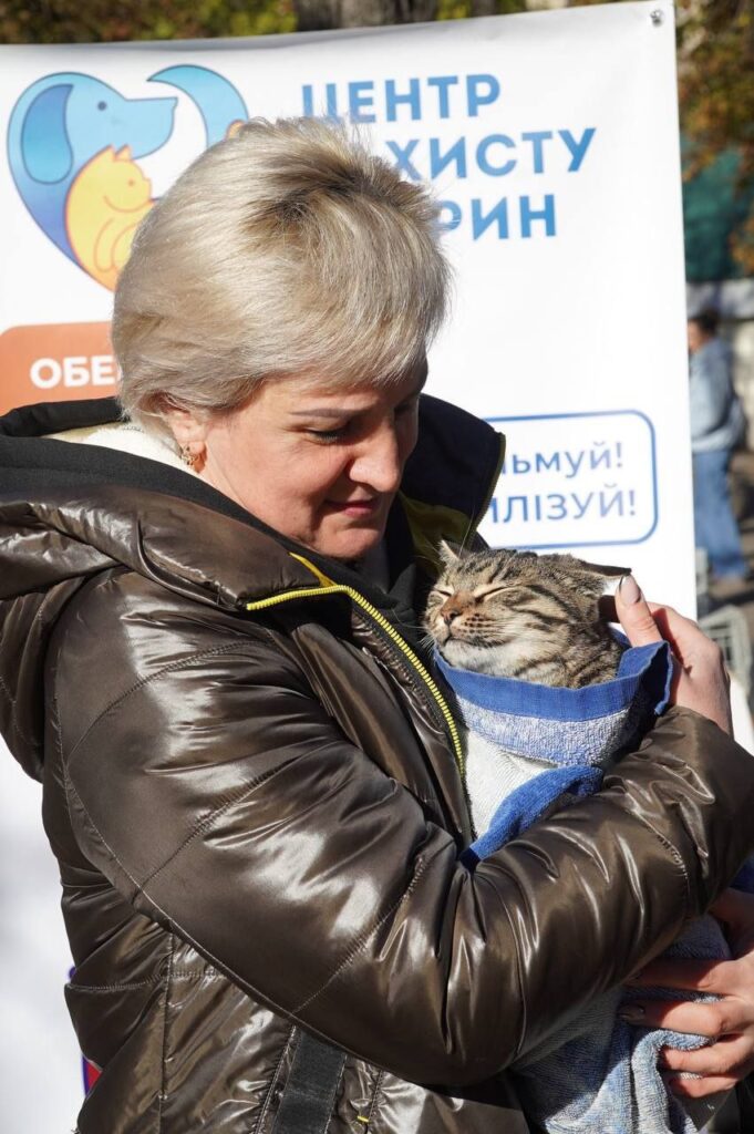 Ще 19 безпритульних тварин знайшли на виставці-прилаштуванні у Миколаєві нові домівки (ФОТО) 2