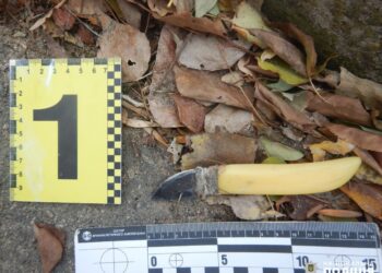 У Миколаєві чоловік вдарив поліцейського в обличчя та порізав йому руку ножем