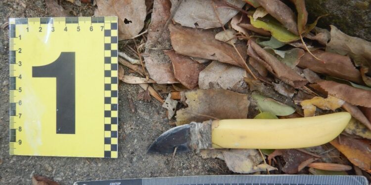 У Миколаєві чоловік вдарив поліцейського в обличчя та порізав йому руку ножем