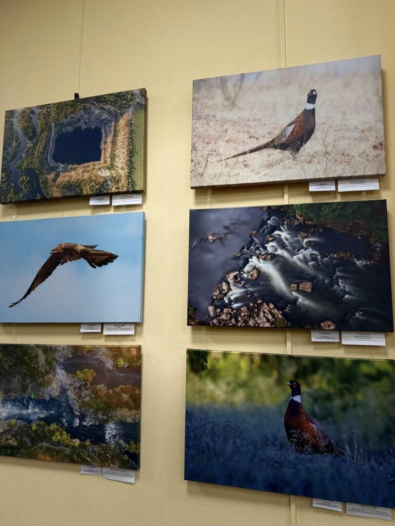 «Краса Бузького Гарду» - у Миколаєві відкрилась виставка фоторобіт Максима Кривого, який загинув на фронті (ФОТО) 26