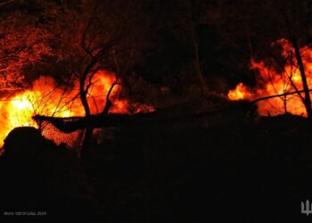 В Україні ліквідовано ще 1560 окупантів, загалом – понад 722 тисячі. Повні втрати ворога