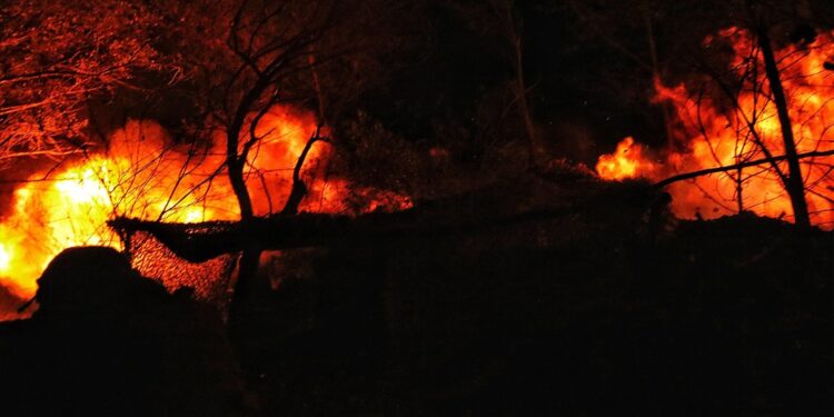 В Україні ліквідовано ще 1560 окупантів, загалом – понад 722 тисячі. Повні втрати ворога