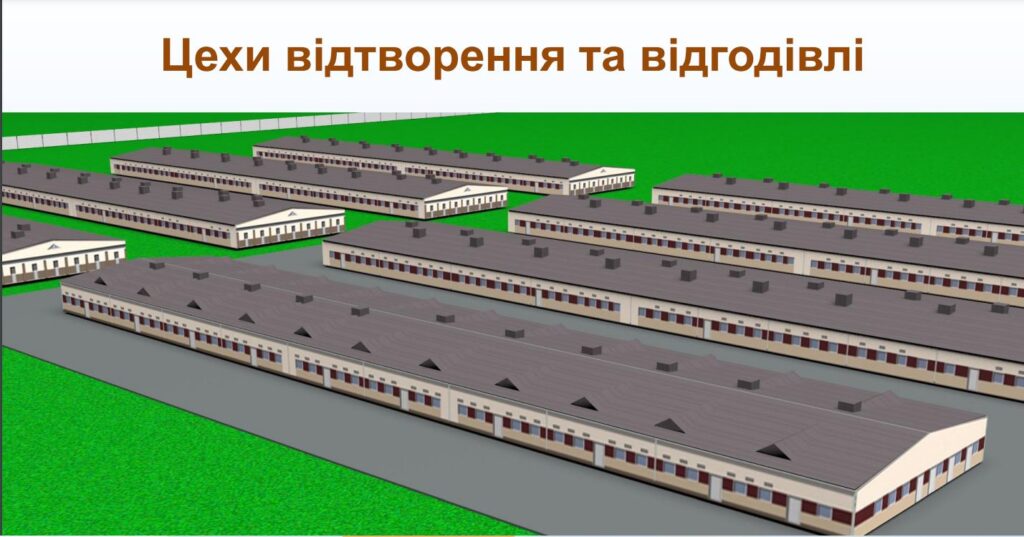 На Миколаївщині побудують інноваційний навчально-виробничий свинокомплекс - за кошти Франції (ФОТО) 2