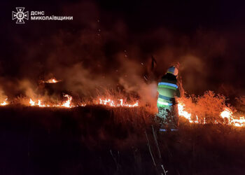 Сім пожеж за добу на Миколаївщині – двоє людей постраждали (ФОТО)