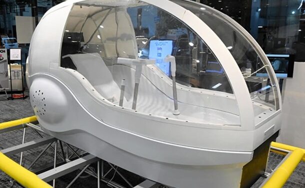 Японська компанія створила пральну машину для людей (ФОТО)