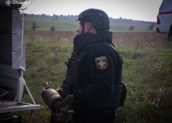 На одному з полів Миколаївщини піротехніки вилучили 19 різнокаліберних боєприпасів (ФОТО)