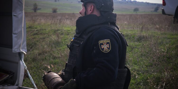 На одному з полів Миколаївщини піротехніки вилучили 19 різнокаліберних боєприпасів (ФОТО)