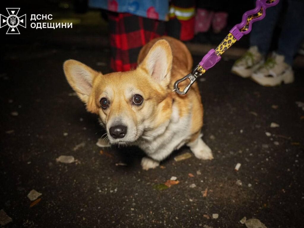 Нічна масована атака росіян на Одесу – одна людина загинула, 10 постраждалих, серед яких дитина (ФОТО) 14