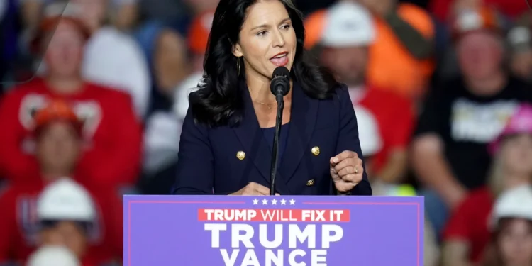 Україна звинувачувала Тулсі Габбард, яку Трамп бачить директоркою нацрозвідки, в роботі на Кремль (ФОТО)