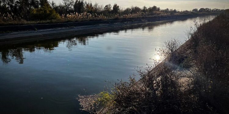 На Миколаївщині в зрошувальному каналі виявлено тіло потопельника