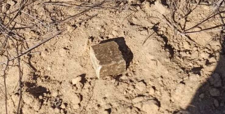 На Миколаївщині розклали понад 190 тисяч приманок для хижаків з вакциною від сказу (ФОТО)