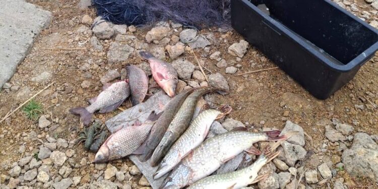У Миколаївському районі впіймали ще одного браконьєра, який незаконною риболовлею наніс шкоди на понад 33,6 тис.грн. (ФОТО)