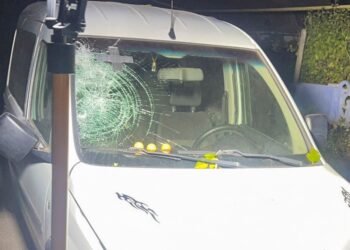 Поліцейські розшукали водія, який на околицях Миколаєва на смерть збив жінку-пішохідку та втік з місця ДТП  