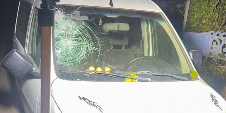 Поліцейські розшукали водія, який на околицях Миколаєва на смерть збив жінку-пішохідку та втік з місця ДТП  