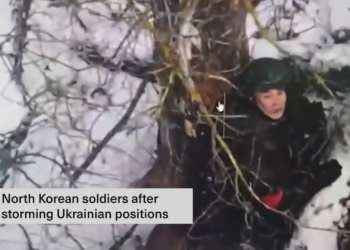 Солдат ніхто. Загиблим північнокорейцям палять обличчя – для невпізнання (ВІДЕО)