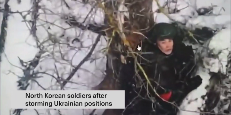 Солдат ніхто. Загиблим північнокорейцям палять обличчя – для невпізнання (ВІДЕО)