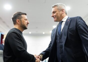 Зеленський в Парижі зустрівся з канцлером Австрії. Говорили про переговори (ВІДЕО)