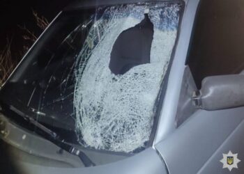 На Миколаївщині п’яний водій збив насмерть пішохода та втік з місця ДТП – його знайшли (ФОТО)