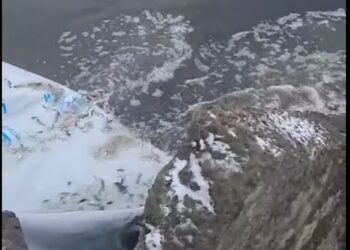 Зариблення на Миколаївщині – 59 тисяч мальків вселили у Таборівське водосховище (ВІДЕО)