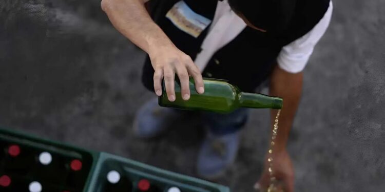 Культура сидру та повага до коней: ЮНЕСКО додала до списку нематеріальної спадщини 10 традицій із країн ЄС