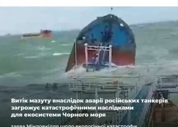 Витік мазуту внаслідок аварії російських танкерів загрожує катастрофічними наслідками для екосистеми Чорного моря – заява Міндовкілля