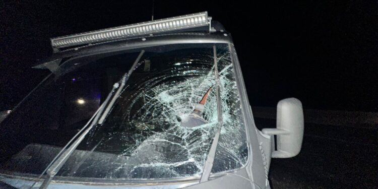 На Миколаївщині Mercedes Sprinter збив жінку – вона загинула (ФОТО)