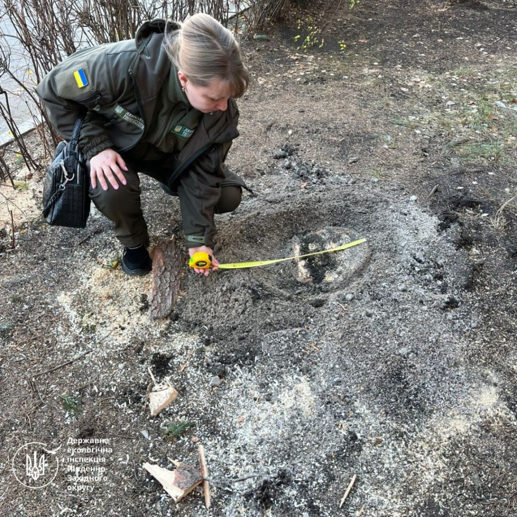 У Миколаєві спиляли блакитну ялинку на території одного з учбових закладів – шкода 3 тис.грн. (ФОТО) 2