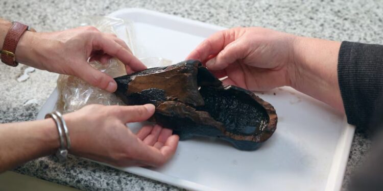 Археологічна сенсація – в Нідерландах знайшли дерев’яний черевик, якому 500 років