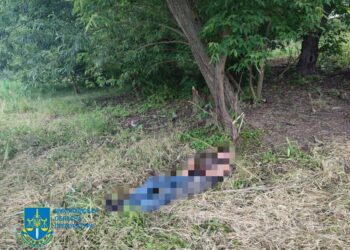 Вбив пляшкою шампанського – до 13 років тюрми засуджено жителя Первомайська за вбивство 