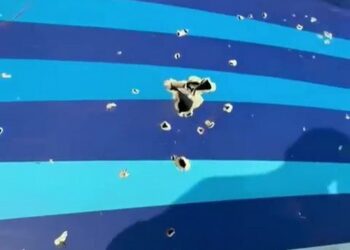 Не птахи. Літак, що впав у Казахстані, міг бути підбитим в РФ під час полювання на дрони (ВІДЕО)