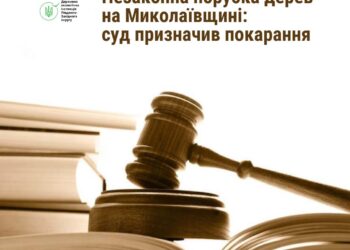 І штраф, і рік обмеження волі – на Миколаївщині суд призначив покарання за незаконну порубку