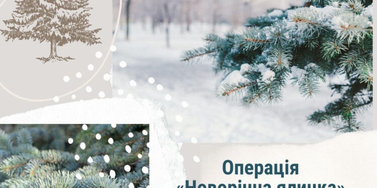 На Миколаївщині та Одещині вже стартувала операція «Новорічна ялинка»